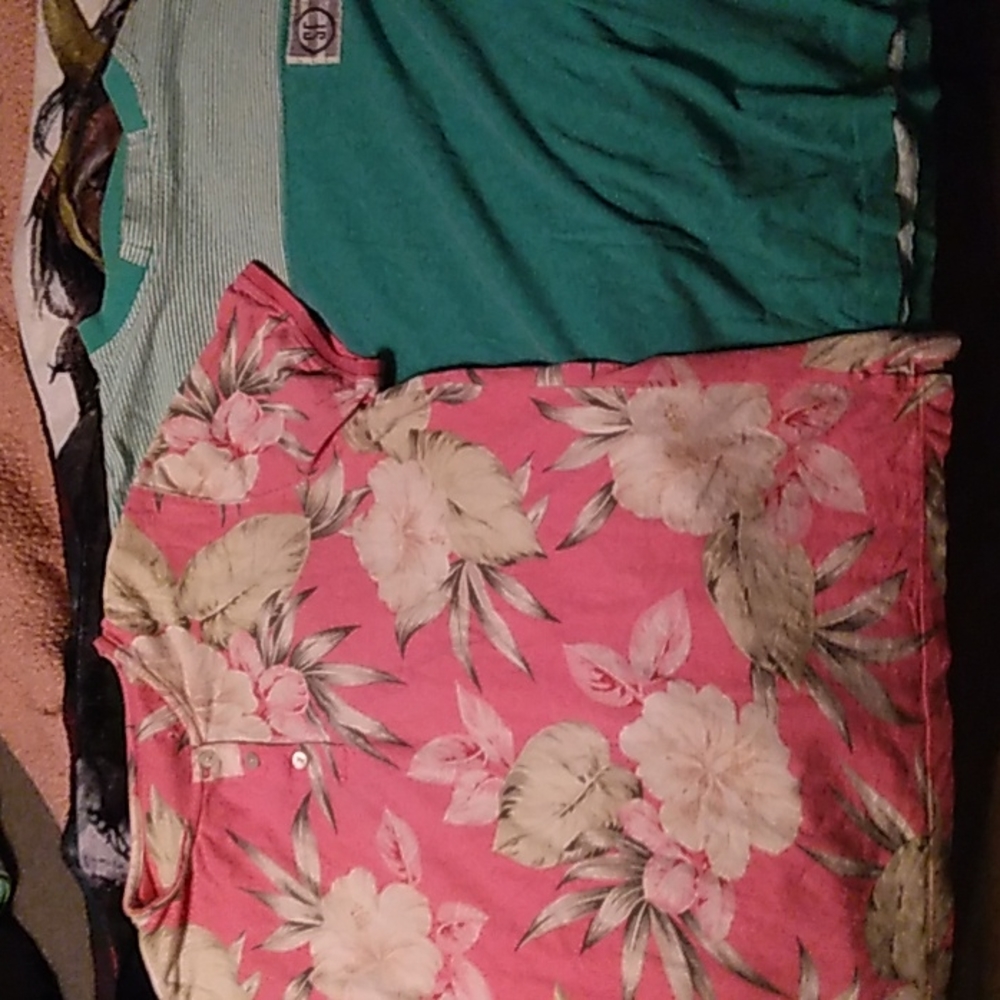 2 Medium Shirts Bundle - (1) Hawaiian Floral Shirt and (1) Green Striped Shirt